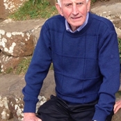 Higgins